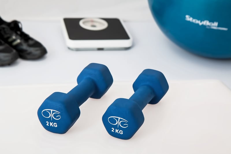 Physical Rehabilitation